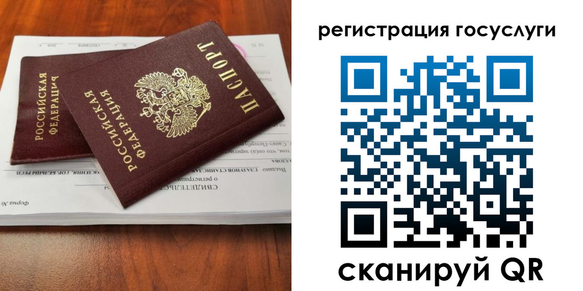 временная регистрация поиск в Владимирской области